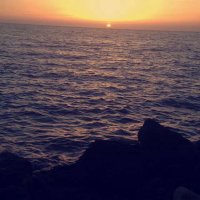 Rawan➰. (@dvsrvpqdmwinmlq) Twitter profile photo