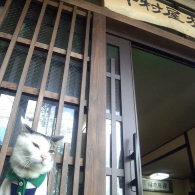 草津温泉にある小さな旅館、中村屋にいるにゃんずの写真と時々草津温泉の情報をつぶやきます^ - ^無言フォローも大歓迎です٩( 'ω' )و