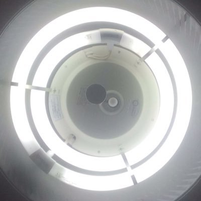 もりたぽのプロフィール写真