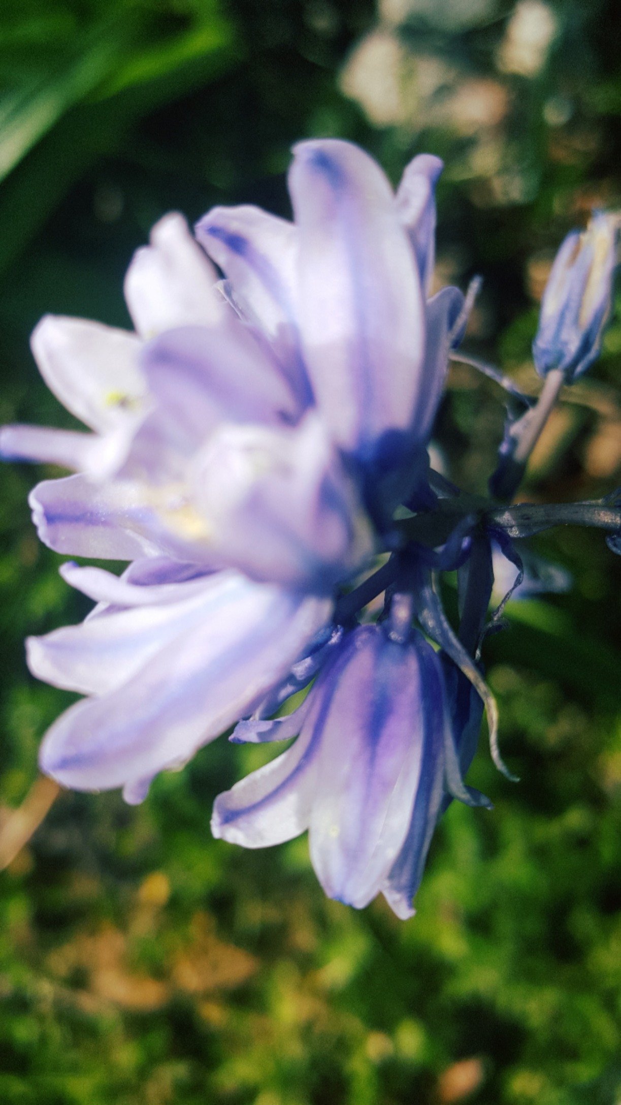 LavernMoore7's profile picture. Full of smiles (Just know that life is a lesson)