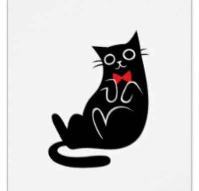 GatMandros's profile picture. Gat controlador
bloquejat per Enric Millo🏅
broteu per res