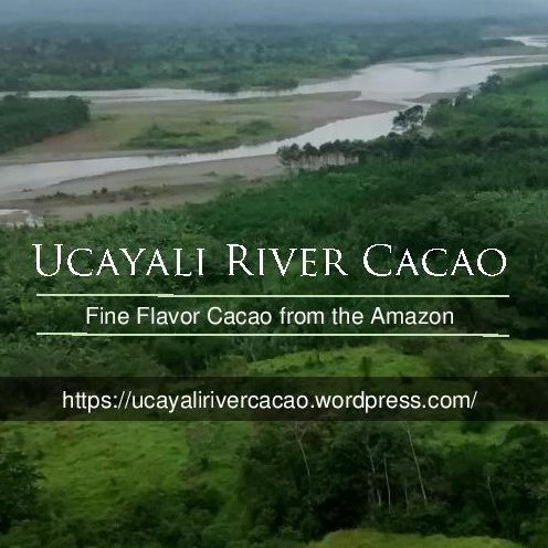 Ucayali River Cacao is a producer of fine flavor cacao from the Ucayali region of Peru.