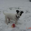 Nina Rogers - @neennina - Twitter