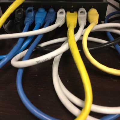 DaliaVitk's profile picture. 