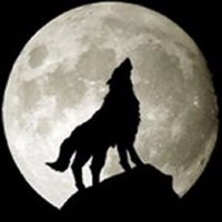 WolfChild Designs(@WolfChildDesign) 's Twitter Profile Photo