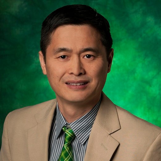 Professor and Associate Dean of Academics, College of Information, University of North Texas