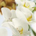 Stacy Lee Farber - @StacyLeefarber - Twitter