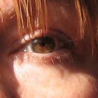 Darrieb (@darrieb) 's Twitter Profile