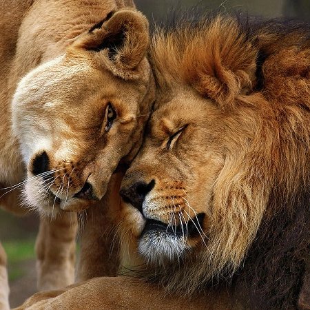 j_Mastertouch's profile picture. 