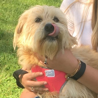 ashton_sierra1's profile picture. retweet game 10/10