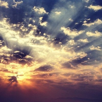 tcdf_m's profile picture. 