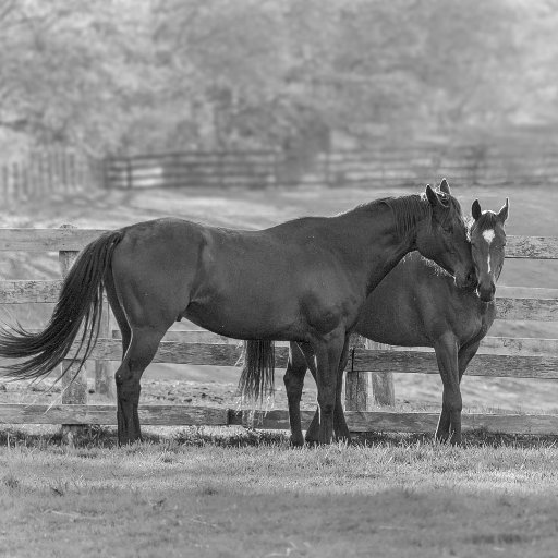 walter_skof's profile picture. 