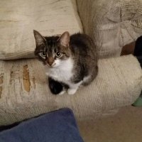 Purplelady who is sick of tRump (@crazyfunnylady1) 's Twitter Profile Photo Purplelady who is sick of tRump (@crazyfunnylady1) 's Twitter Profile Photo