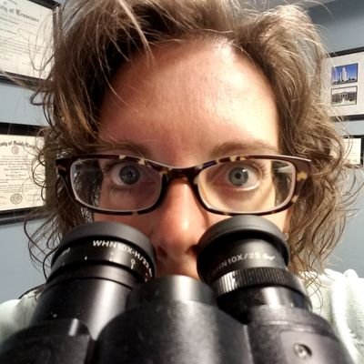 Julie Lemmon Profile