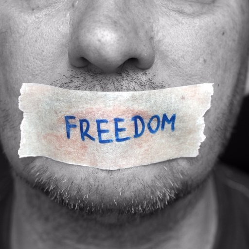i run the sotheycallitfreedom youtube page doing 1st amendment audits on police and government https://t.co/OWWK4Q1Vei