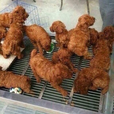 中中