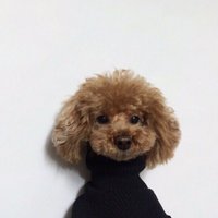 Rye Bonmot (@ryebonmot) 's Twitter Profile