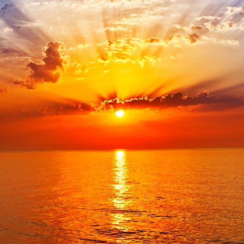 E1CHofCHT's profile picture. 