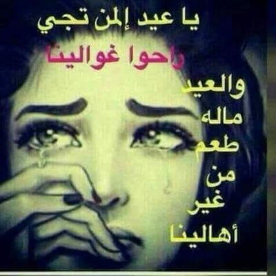 RbgMPDcEiMmK6f4's profile picture. عمر ابو فهد