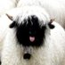 Margaret Sloan (@magssloan) Twitter profile photo Margaret Sloan (@magssloan) Twitter profile photo