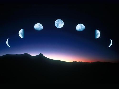 Ein normaler Mensch, der arbeitet Twitter gefunden.