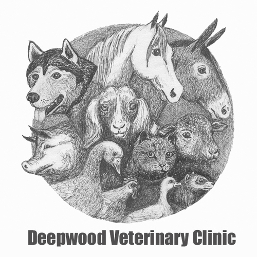 Deepwood Vet Clinic