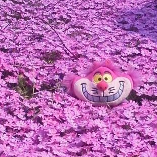 mariyori's profile picture. 