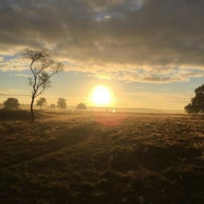 Lincolnkrijn's profile picture. 