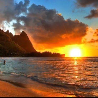 SwpFORPIpE7MyIp's profile picture. 