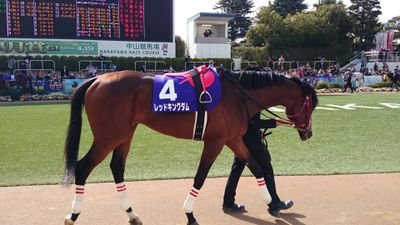 ライブハウス&路上ライブにはまってます🎵

競馬&ﾎﾞｰﾄﾚｰｽも好き✨