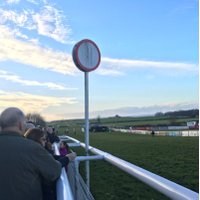 SD Racing Services (@racingoncourse) 's Twitter Profile Photo SD Racing Services (@racingoncourse) 's Twitter Profile Photo