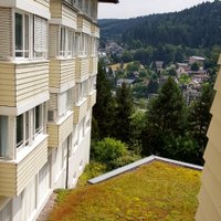 beany (@oldybutgoody) 's Twitter Profile