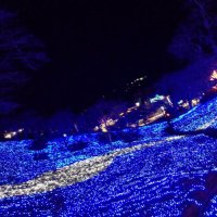 ネットビジネス始めてみたいけど、、 (@taaaa5260) 's Twitter Profile
