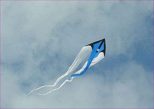 K_C_o_S's profile picture. The Kite Club of Scotland