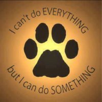 🐶SOOKIE GRACE🐱 (@sookie_grace) 's Twitter Profile Photo 🐶SOOKIE GRACE🐱 (@sookie_grace) 's Twitter Profile Photo