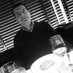 Matteo Borré (@matteoborre) Twitter profile photo Matteo Borré (@matteoborre) Twitter profile photo