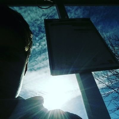 niclas_book's profile picture. 