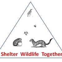 ShelterWildlifeTog(@ShelterWildlife) 's Twitter Profile Photo