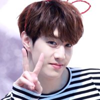 Shining Motion✨ (@shining_motion) 's Twitter Profile