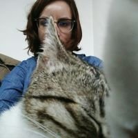 Senior manager chez Mazars/
Féministe & Ecolo/
Membre du CA de l'association Adelifpaly @Adelifpaly