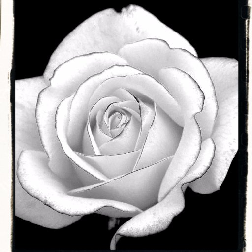 7misslee7's profile picture. 