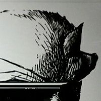 HoT Hogwash (@hogwashhot) 's Twitter Profile Photo