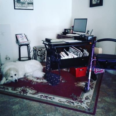 HEnabled's profile picture. Humanity Enabled is a space for illness & disability narratives to be shared & explored via creations of art, prose, philosophy & political ideologies.