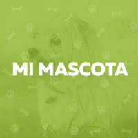 Mi Mascota (@mimascotape) 's Twitter Profile
