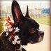 ♬ Holly ♬ (@hjjoh) Twitter profile photo ♬ Holly ♬ (@hjjoh) Twitter profile photo