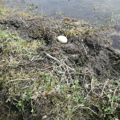 MarijkeHansse's profile picture. op uw gezondheid.