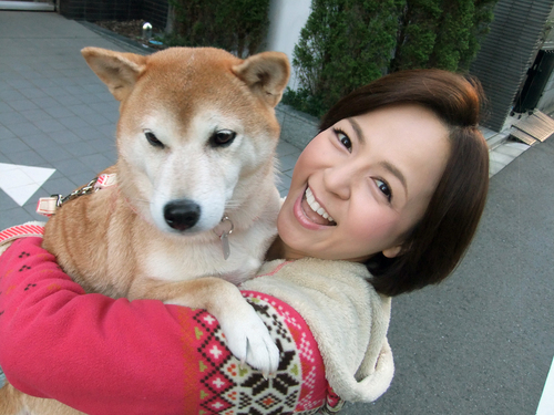 maimai8181's profile picture. 裏まいまい♪
いとうまい子@maimai818の裏アカウントでございます。

こちらのアカウントは表まいまい♪がAPI規制に引っかかった時の緊急出動用で、普段は出動しませんが宜しくお願い致します♡