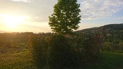 Louisal_'s profile picture. 