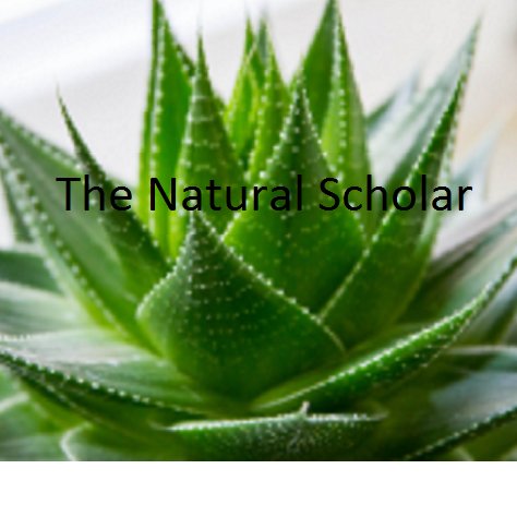 Welcome to the natural scholar! check us out on Facebook at (thenaturalscholar) and our website to learn more about natural products and home remedies.