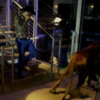 DavidCardona96's profile picture. 